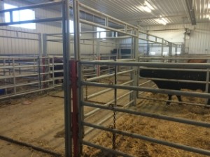 Livestock Center1